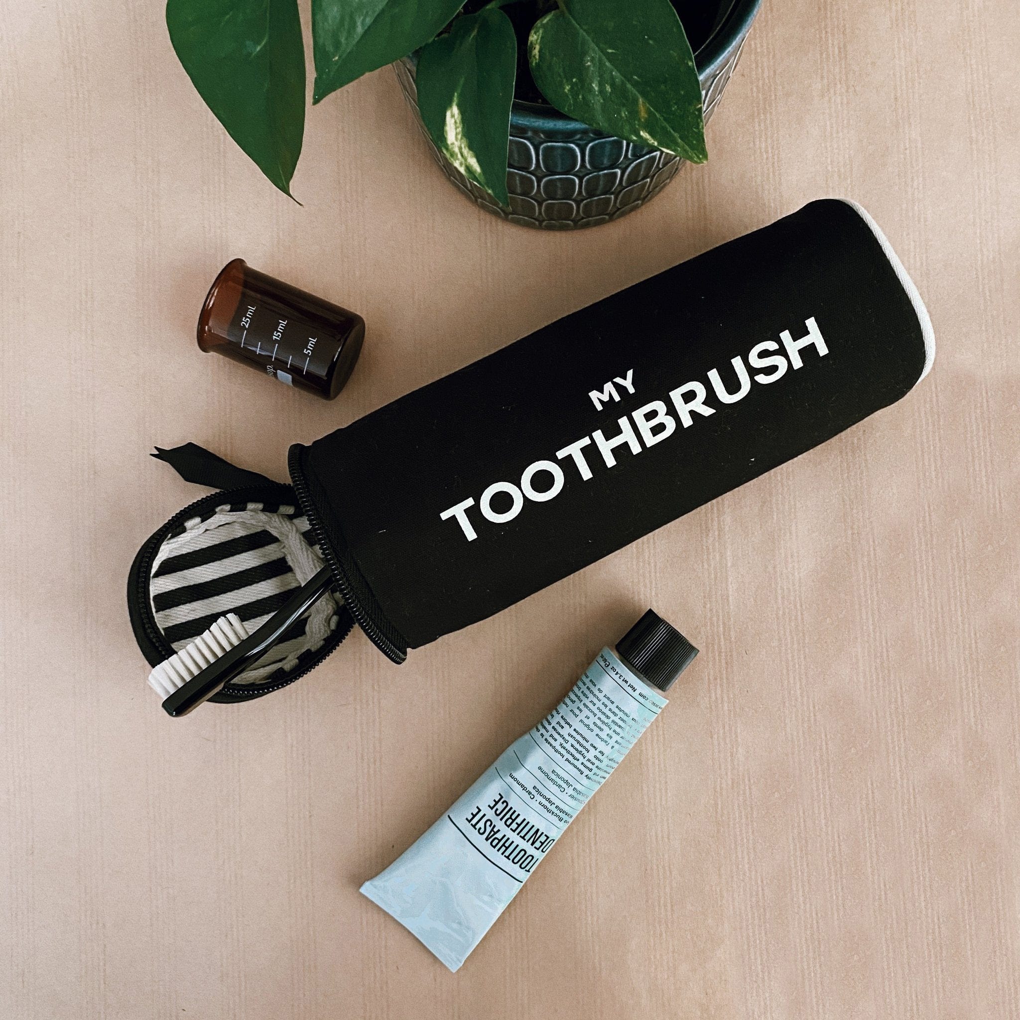 Bag-all black My Toothbrush case from Toiletry Travel Gift Set, organized with toothbrush and toothpaste, displayed with green plant on beige surface