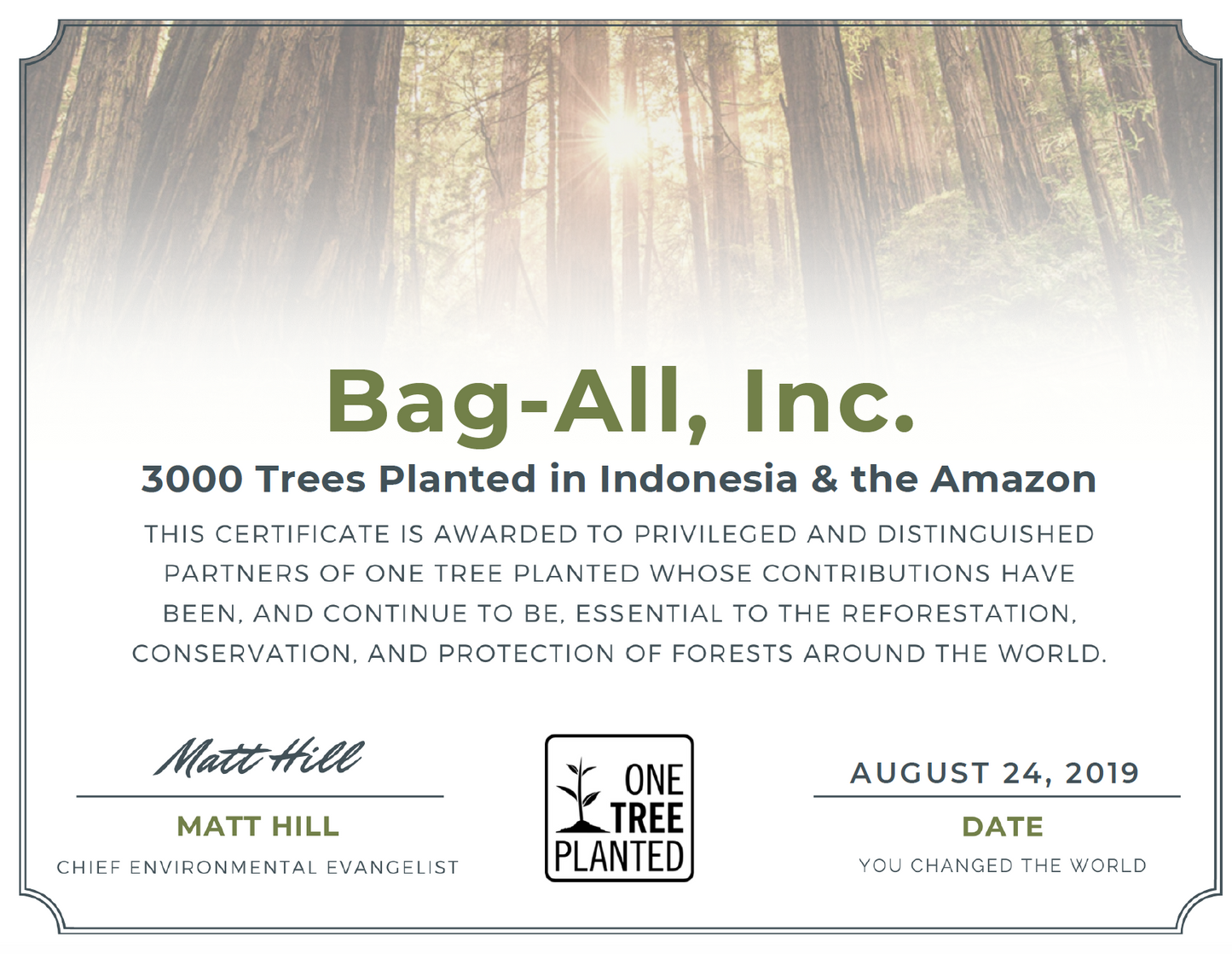 Bag-all Plant a Tree certificate showing 3000 trees planted in Indonesia and Amazon through One Tree Planted partnership, signed by environmental evangelist with sunlit forest background