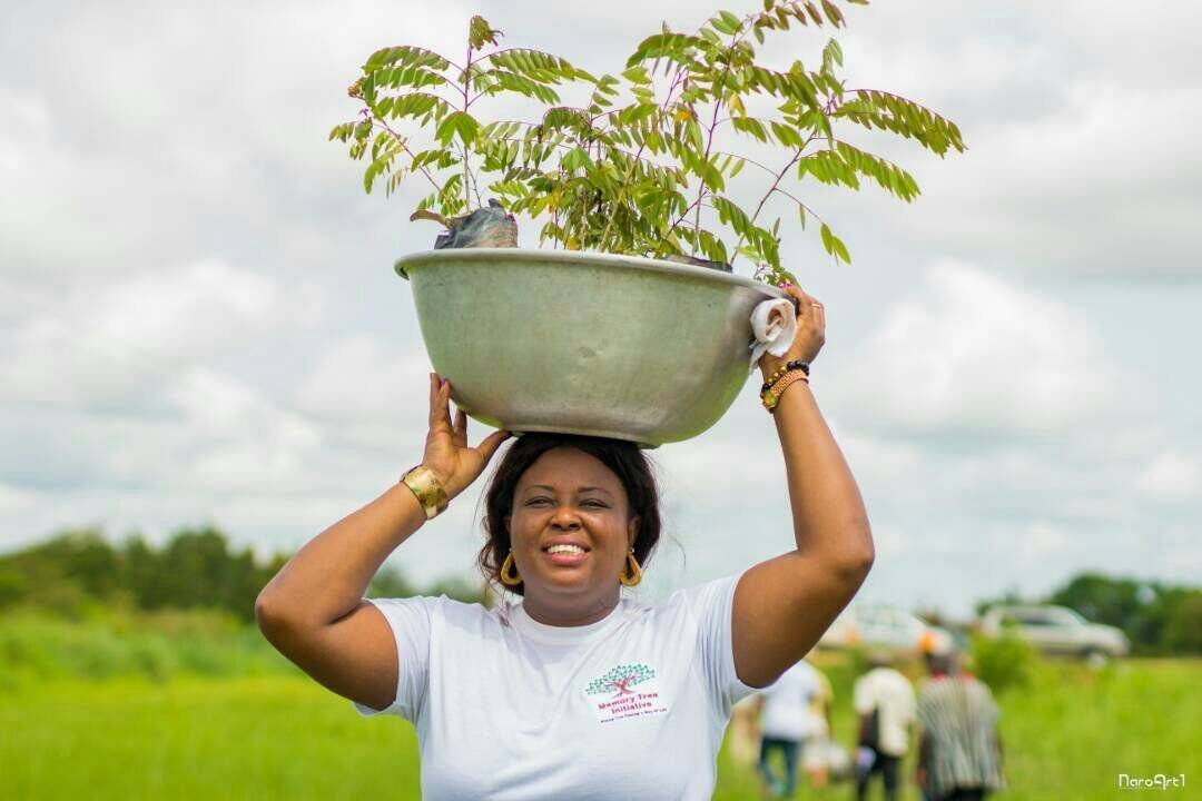 Plant a Tree with Bag-all: A person holding a large green planter bowl filled with young saplings, showcasing eco-friendly sustainability efforts in a lush outdoor setting