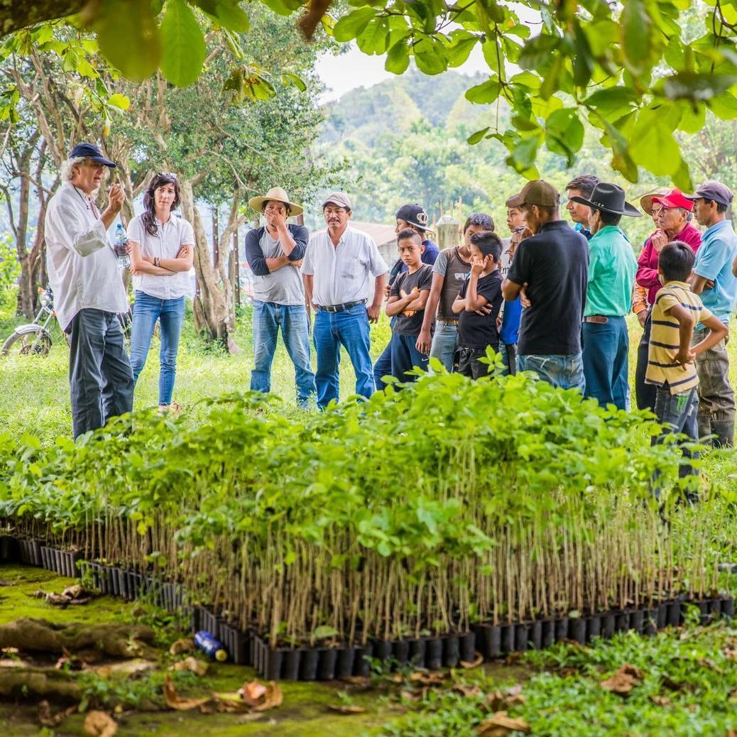 Group gathered around nursery plants learning about sustainable farming and reforestation at Bag-all's One Tree Planted initiative, demonstrating environmental commitment and eco-friendly practices